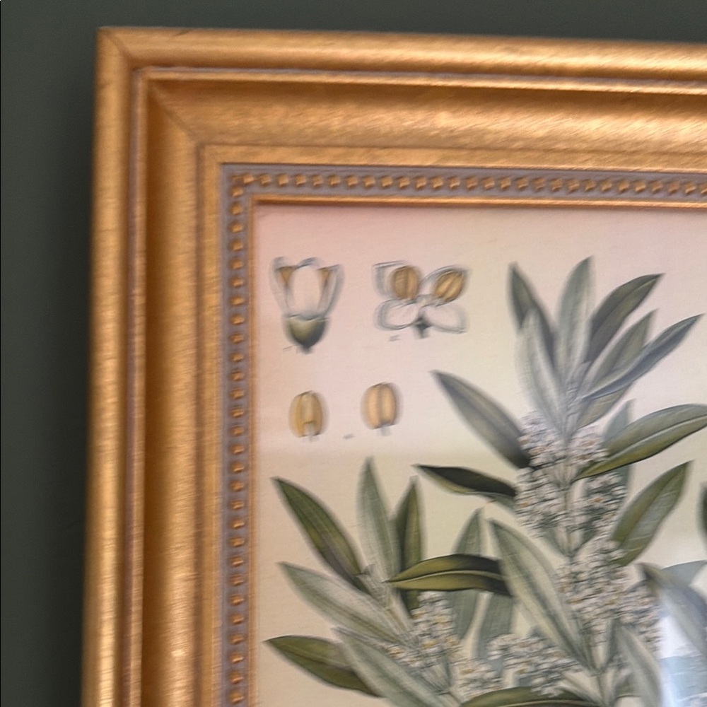 Gold Ornate Picture Frame Wall Art - Botanical Print - Picture 6 of 6